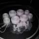 Illustration for article titled First sucessful real 3d print.